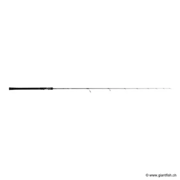 HORIZON LJ 611 S-FM