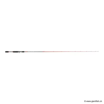 INJECTION BC 67 MH