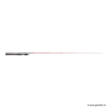 INJECTION BC 76 H