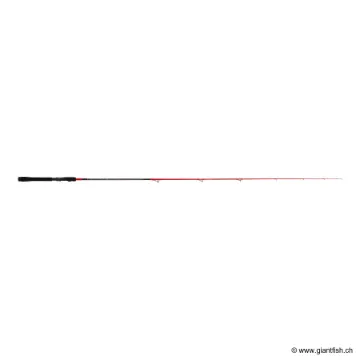 INJECTION SPV 6.0 H