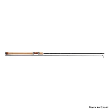 RAYZ SPECTRA 82 M