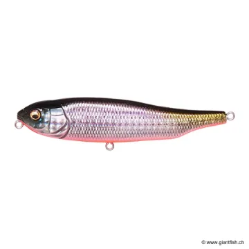 MEGABASS KISS GIANT DOG X SW