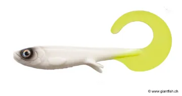 (C021) White Baitfish