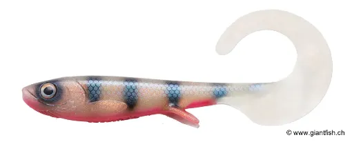 (C034) Striped Ghost