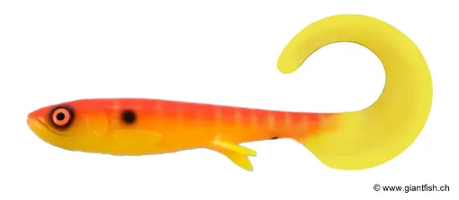 (C080) Sherbert Shad