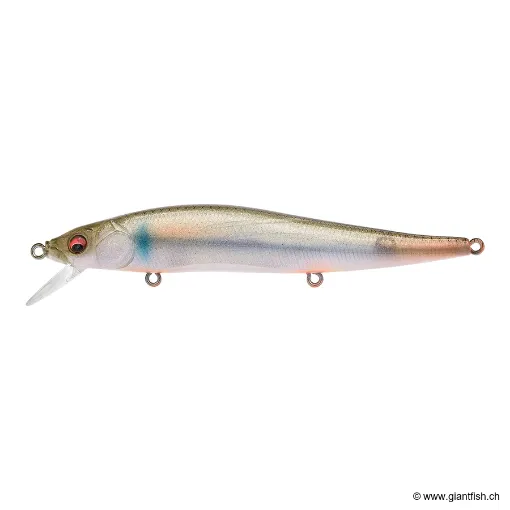 MEGABASS KISS VISION 110 FW