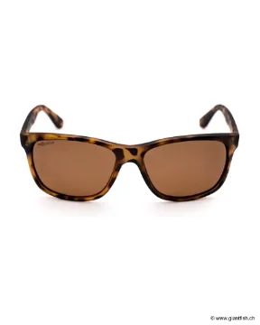 Lunettes Polarisantes Korda Sunglasses Classics