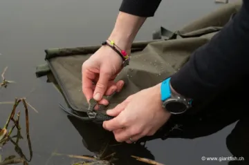 Sac de Pesée Korda Basix Weigh Sling