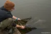 Picture of Korda Basix Weigh Sling Weighing Bag
