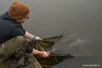 Sac de Pesée Korda Basix Weigh Sling