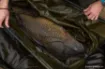 Picture of Korda Basix Weigh Sling Weighing Bag