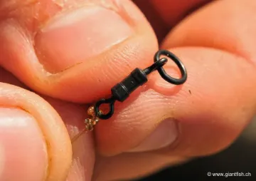 Emerillon Korda Chod Swivel
