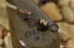 Bild von Clip Blei & Manschette Korda COG Booms Flat Lead
