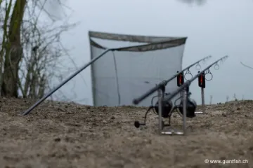 Epuisette Korda Kaizen Green Net 42"