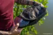 Bild von Sac à Peson Korda Compac Scales Pouch Dark Kamo
