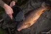 Bild von Korda Compac Water Bucket