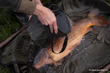 Seau Korda Compac Water Bucket