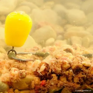 Maïs Flottant Korda Slow Sinking IB Corn Yellow