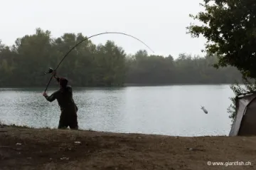 Canne Spod Korda Kaizen Platinum Spod - 12 ft