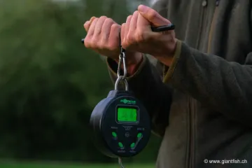 Peson Korda Digital Scale 60 kg