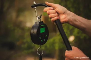 Peson Korda Digital Scale 60 kg