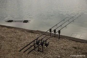 Pique Korda Singlez Spike Inox