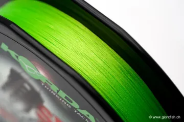 Tresse Korda Spod Braid - 300 m