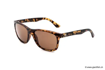 Korda Sunglasses Classics