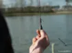 Picture of Helicopter Korda Mini Heli-Safe System