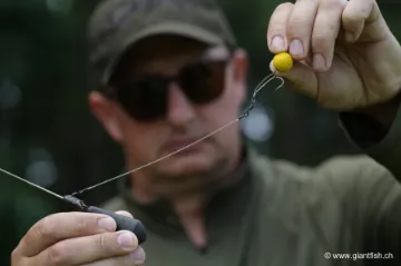Aligneur de Ligne Korda Kickers D-Rig - par 10