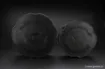 Picture of Bait Crusher Korda Krusha