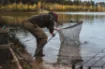 Immagine di Epuisette Korda Spring Bow Net