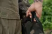 Picture of Korda Compac 2 Rod Holdall Dark Kamo