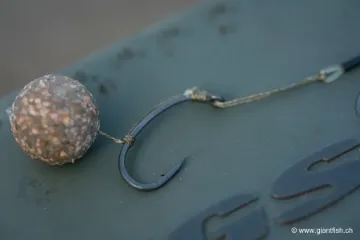 Bas de Ligne Monté Korda Loop Rigs Klor 2