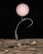 Bild von Haken Korda Spinner - 10 Stück
