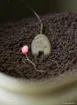 Bild von Plomb Korda Solidz Inline Lead