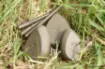 Bild von Plomb Korda Flatliner Pear Inline