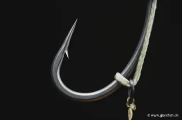 Hameçon Korda Kurv XX - par 10