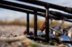 Image de Buzz Bar Korda Singlez 3 Rods Buzzbar Aluminium Black - Noire