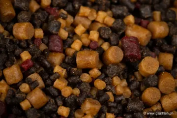 Pellets Mainline Spod & PVA Pellet Mix - 2 kg