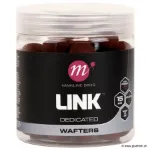 Link