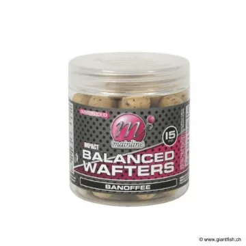 Mainline High Impact Balanced Wafter