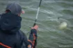 Image de Canne Feeder Guru A-CLASS Mini Method Feeder