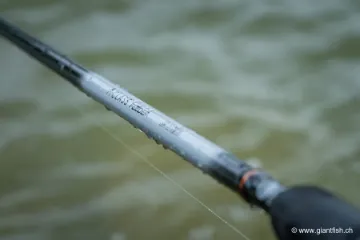 Canne Anglaise Guru A-CLASS Pellet Waggler