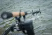 Immagine di Canne Anglaise Guru A-CLASS Pellet Waggler