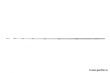 Scion Guru A-CLASS Quiver Tip