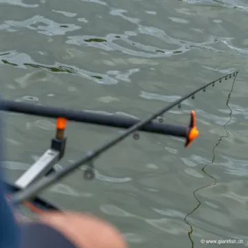 Elément Canne Guru A-CLASS Waggler - 13 ft