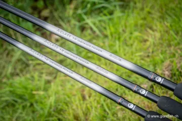 Canne Feeder Guru A-Class Distance