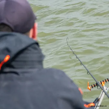 Elément Canne Guru A-Class Distance Feeder