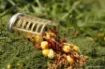 Image de Feeder Guru X-Change Distance Bait Up Feeder - par 2 - Medium - 20 & 30 g